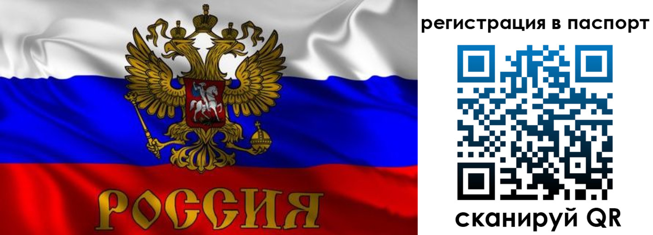 найти адрес прописки в Туле
